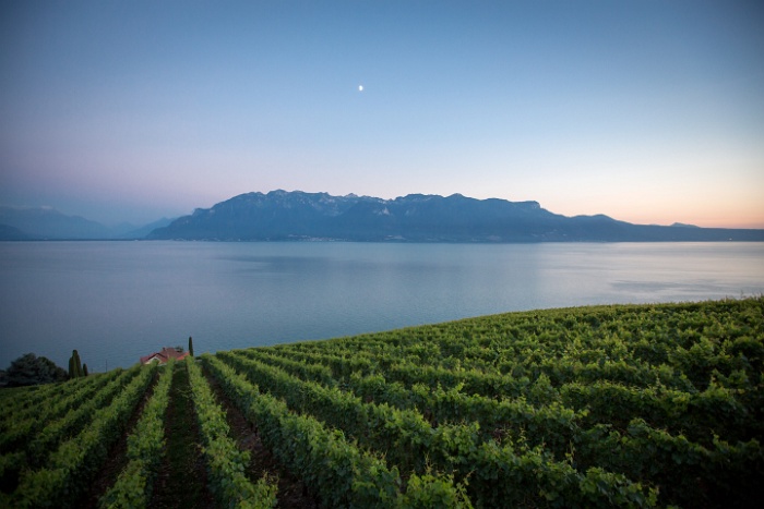 Etoiles Lavaux - Lac de Bret - 006